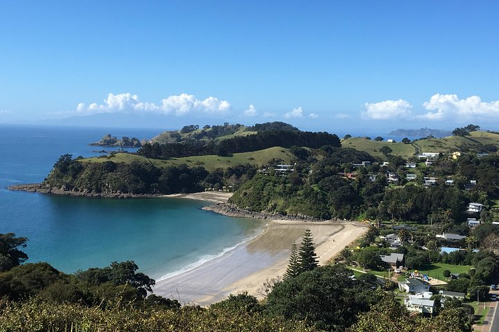 Full-Day Tour of Waiheke Island with Wine Tastings - Photo 1 of 25